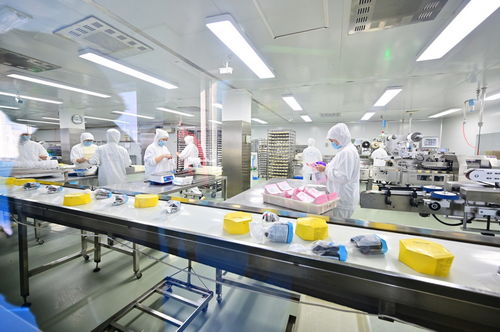 餐桌上的安全衛(wèi)士 走進(jìn)沈陽綠色工廠，揭秘食品產(chǎn)業(yè)的生產(chǎn)革命